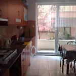 Hostel Hzd