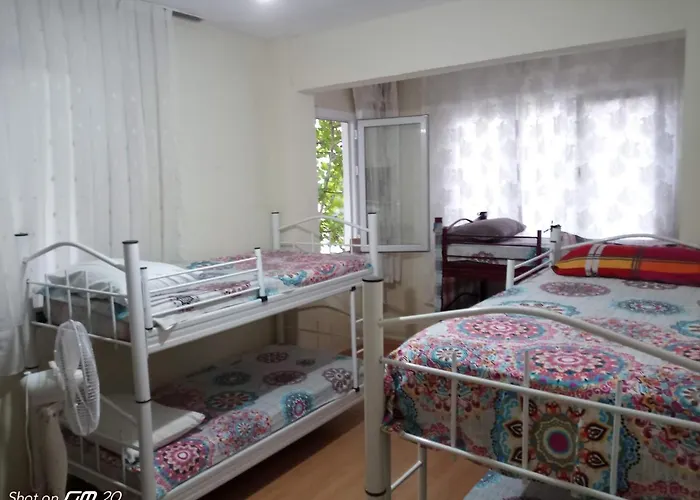 Hzd * Φετιγιέ