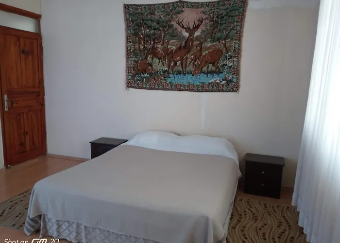 Hzd Hostel Φετιγιέ